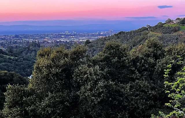 a view of a city with a mountain in the background