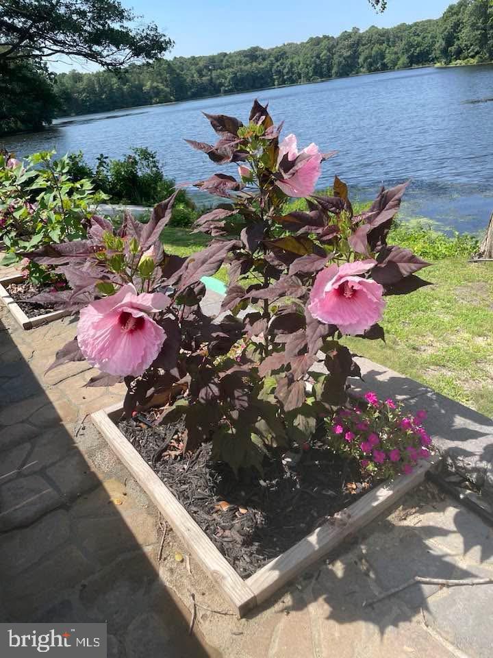 32568 Hastings Drive Laurel, DE 19956 - Photo 42 of 43 a backyard of a house with outdoor seating