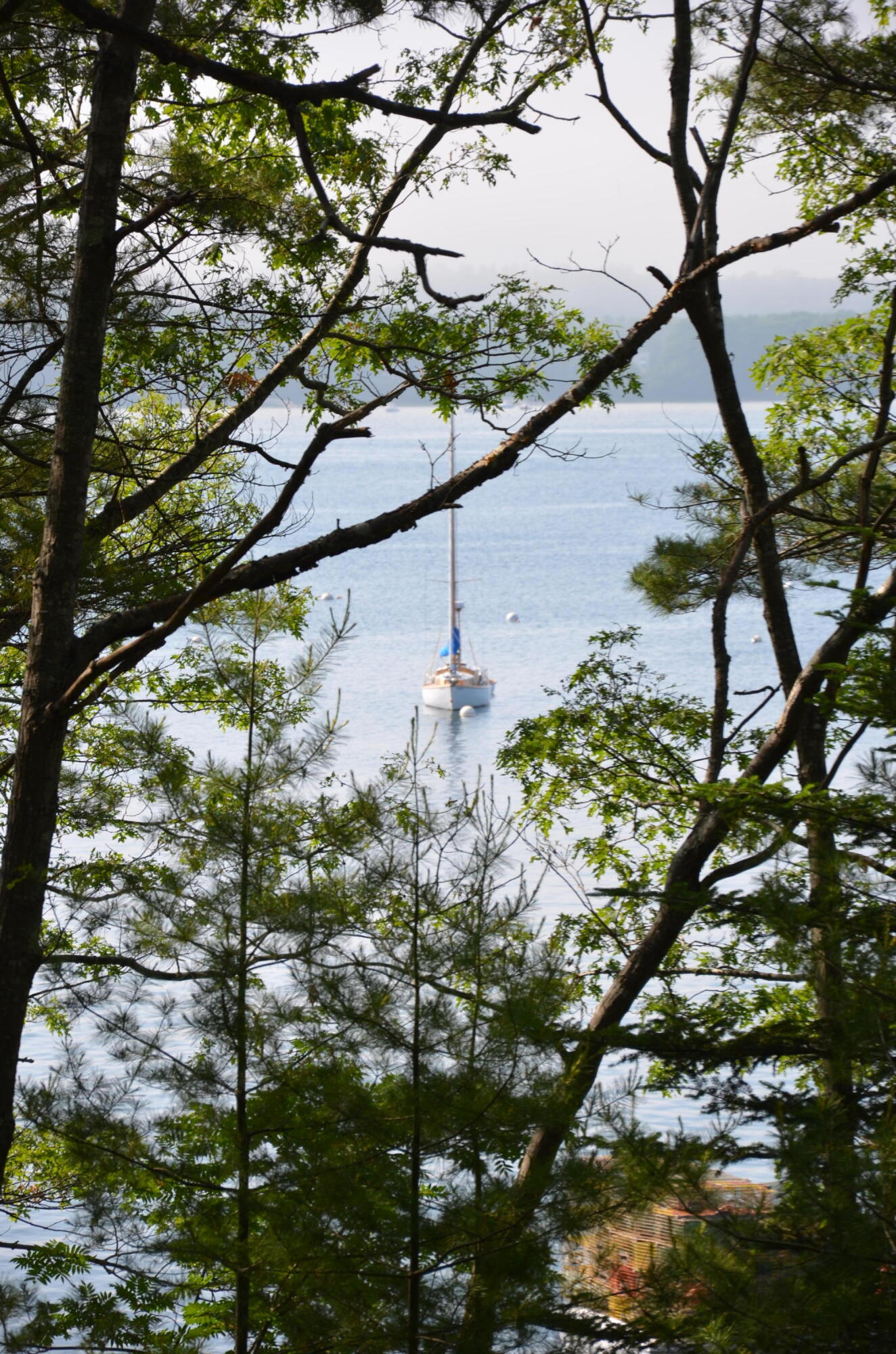 7 Benjamin's Way Yarmouth, ME 04096 - Photo 23 of 53 DSC_3702