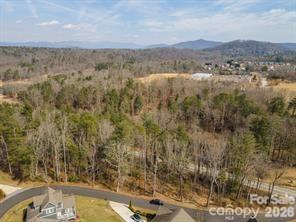 Tbd Ball Gap Road Arden, NC 28704 - Photo 4 of 5