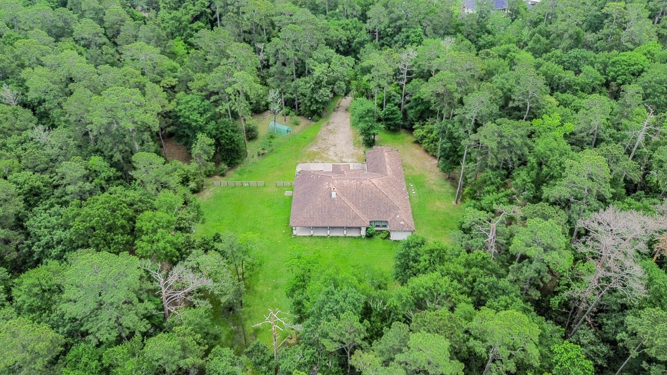 24387 Lenze Road Spring, TX 77389 - Photo 35 of 36