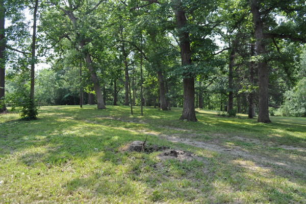 11701 87th Street Burr Ridge, IL 60527 - Photo 2 of 9