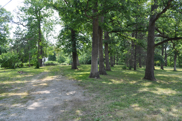 11701 87th Street Burr Ridge, IL 60527 - Photo 3 of 9