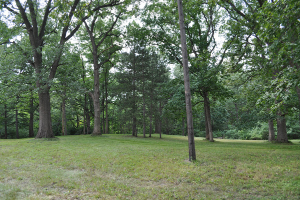 11701 87th Street Burr Ridge, IL 60527 - Photo 8 of 9