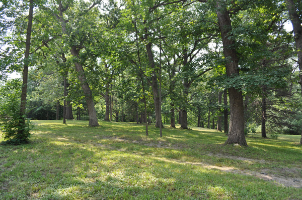 11701 87th Street Burr Ridge, IL 60527 - Photo 9 of 9
