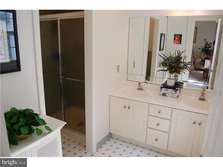 206 Deergrass Road Hockessin, DE 19707 - Photo 14 of 22 Master Bathroom
