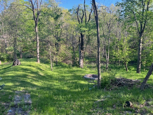 2795 East 28th Road Marseilles, IL 61341 - Photo 11 of 56