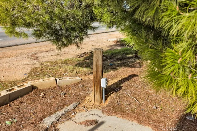 a view of a yard with an tree and wooden fence