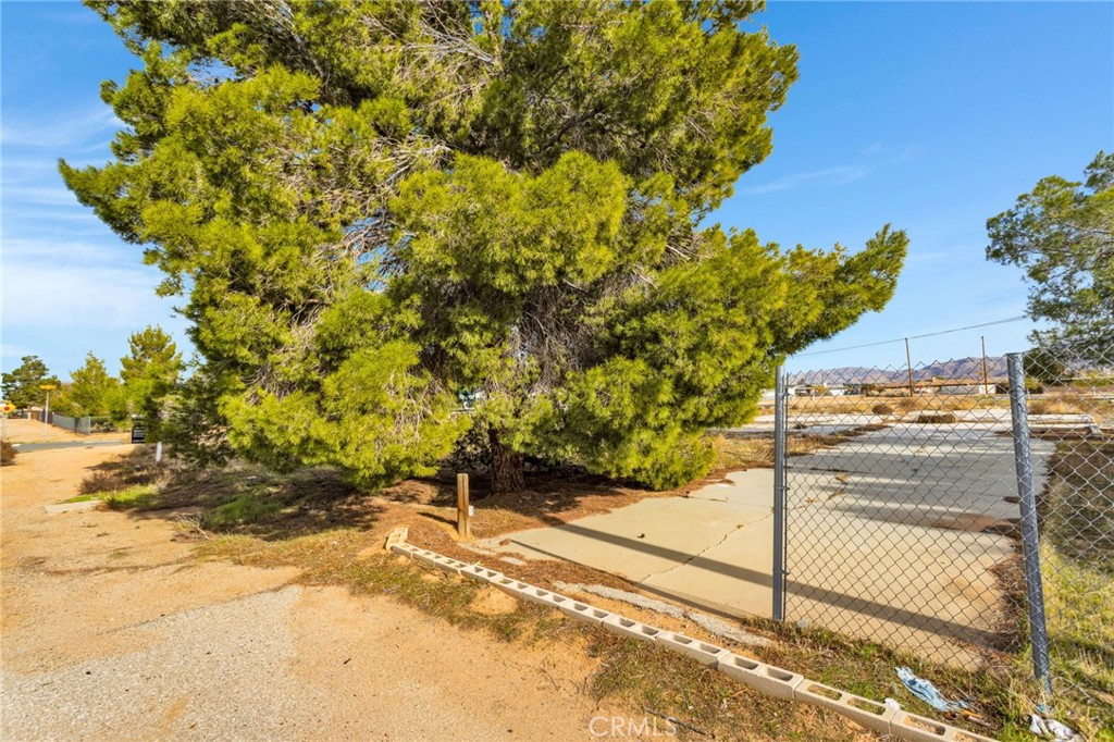 16693 Navajo Road Apple Valley, CA 92307 - Photo 7 of 9 a view of a yard with an tree and wooden fence