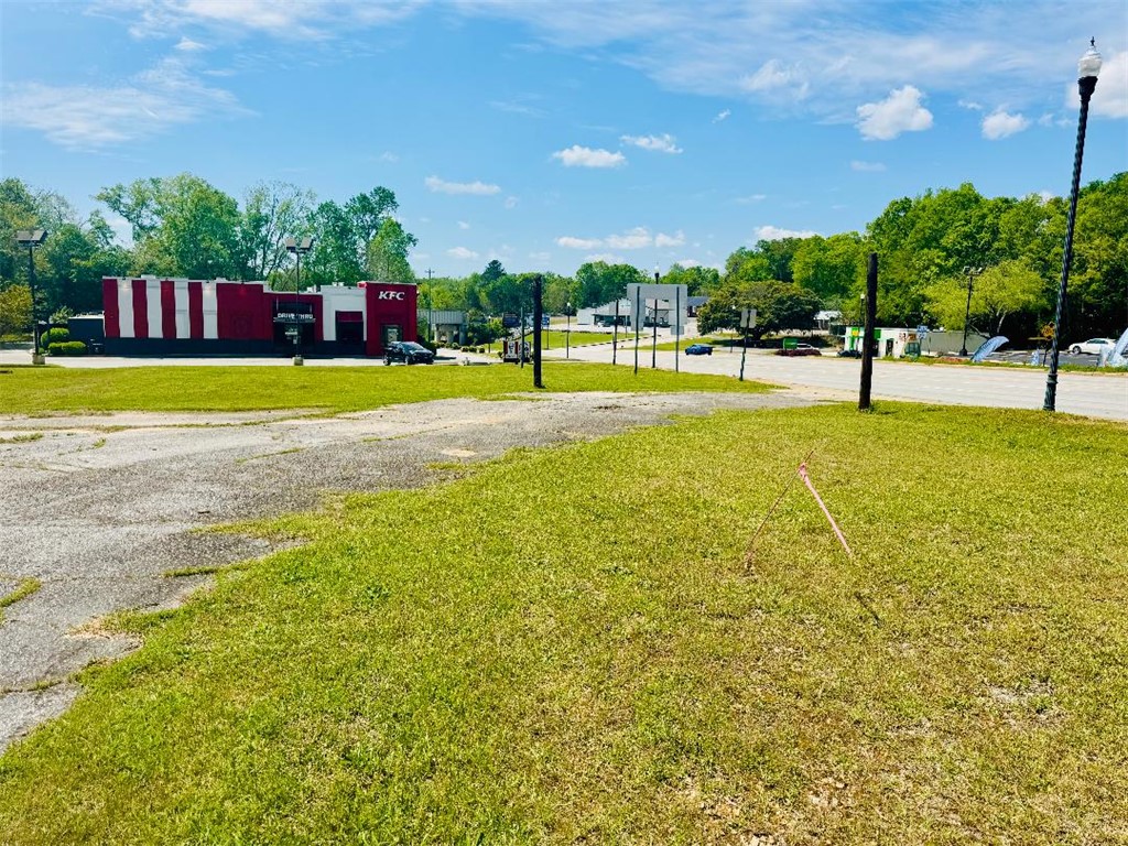 0 72nd Highway Abbeville, SC 29620 - Photo 3 of 12