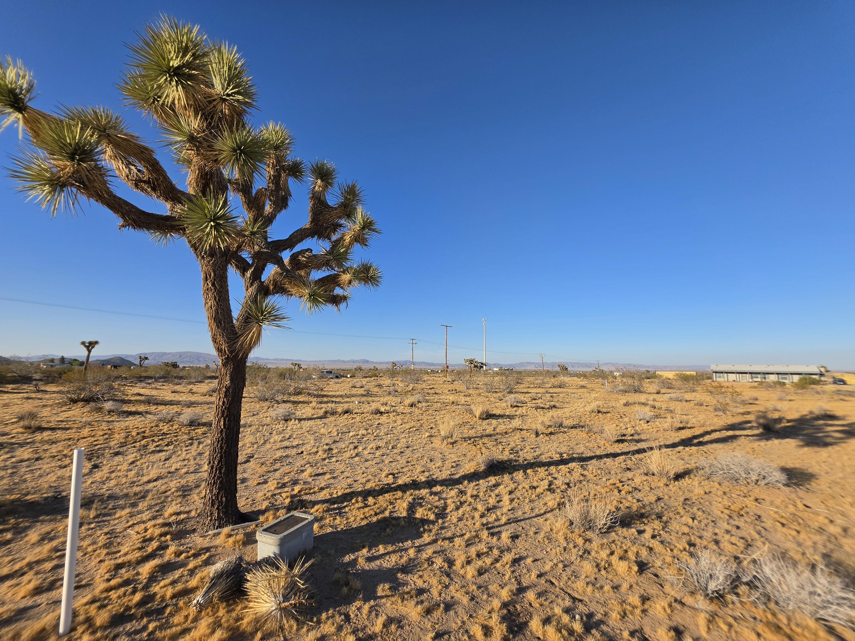 59871 Reche Road Landers, CA 92285 - Photo 4 of 6 20260617_184842