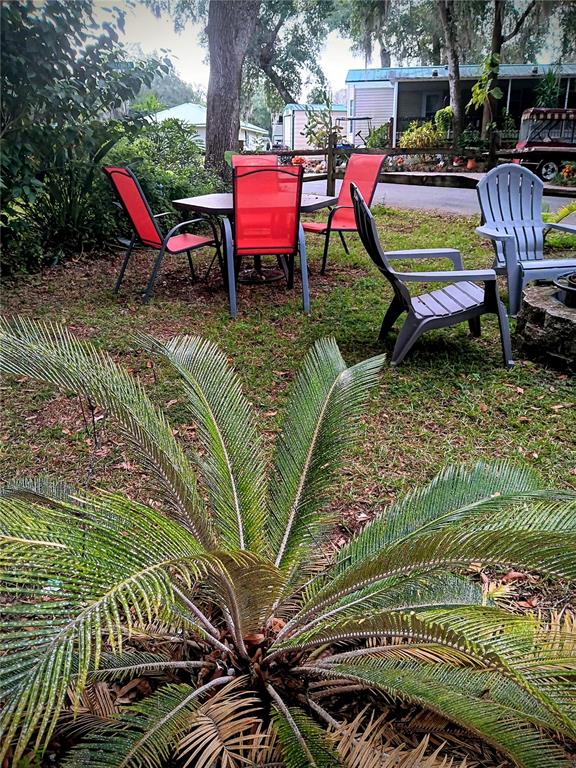 25164 Northeast 140th Loop, Unit 239 Salt Springs, FL 32134 - Photo 22 of 37