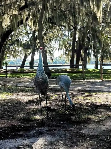 $79,800 | 25164 Northeast 140th Loop, Unit 239, Salt Springs, FL 32134