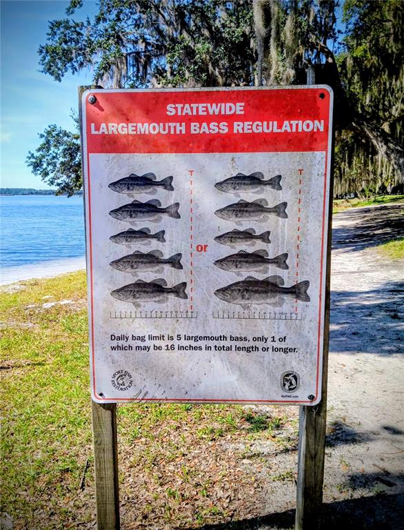 25164 Northeast 140th Loop, Unit 239 Salt Springs, FL 32134 - Photo 25 of 37