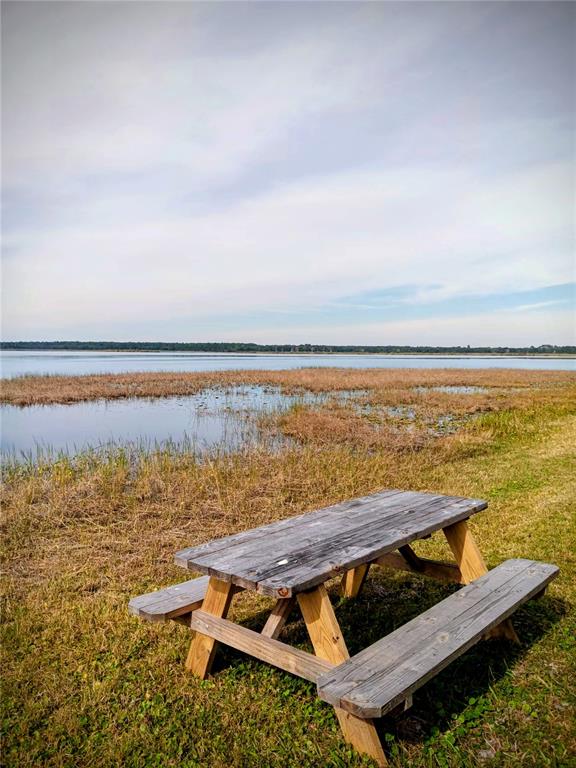 25164 Northeast 140th Loop, Unit 239 Salt Springs, FL 32134 - Photo 28 of 37