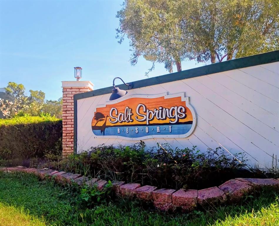 25164 Northeast 140th Loop, Unit 239 Salt Springs, FL 32134 - Photo 3 of 37