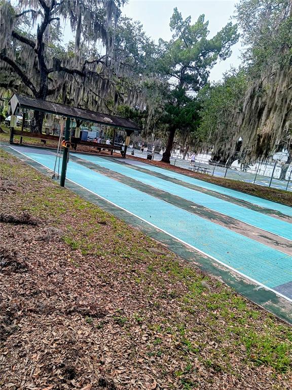 25164 Northeast 140th Loop, Unit 239 Salt Springs, FL 32134 - Photo 32 of 37