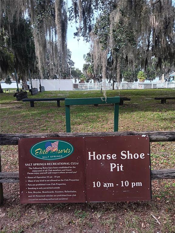 25164 Northeast 140th Loop, Unit 239 Salt Springs, FL 32134 - Photo 33 of 37