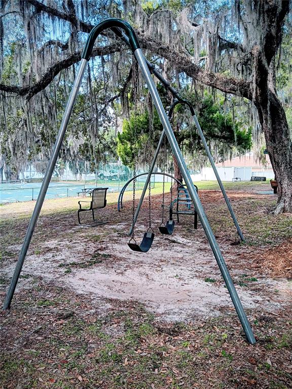 25164 Northeast 140th Loop, Unit 239 Salt Springs, FL 32134 - Photo 37 of 37