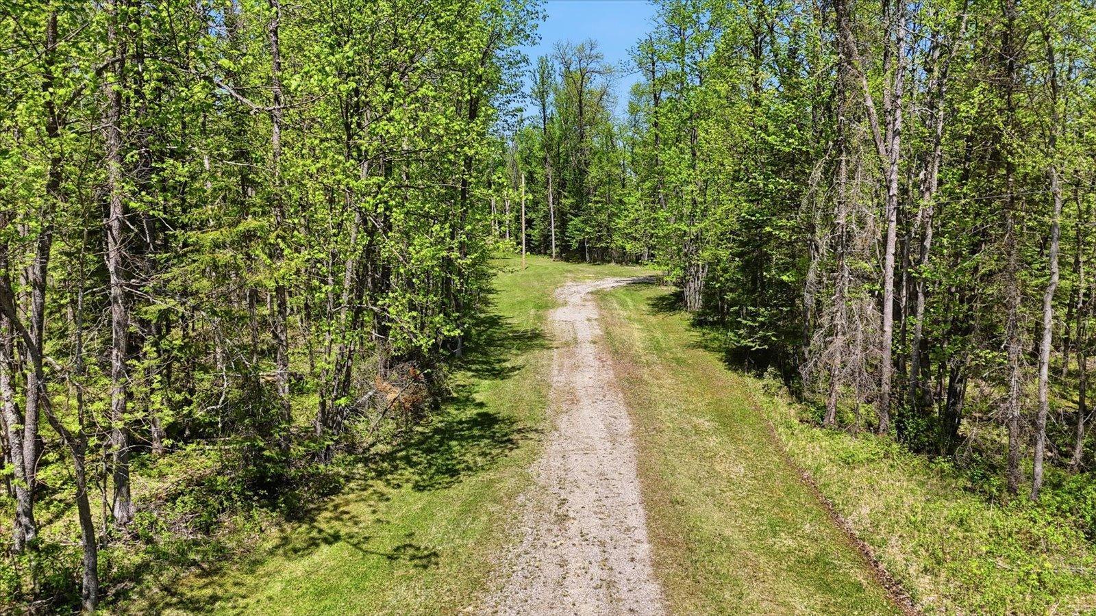Tbd Cedar Point Road Marcell, MN 56657 - Photo 3 of 14