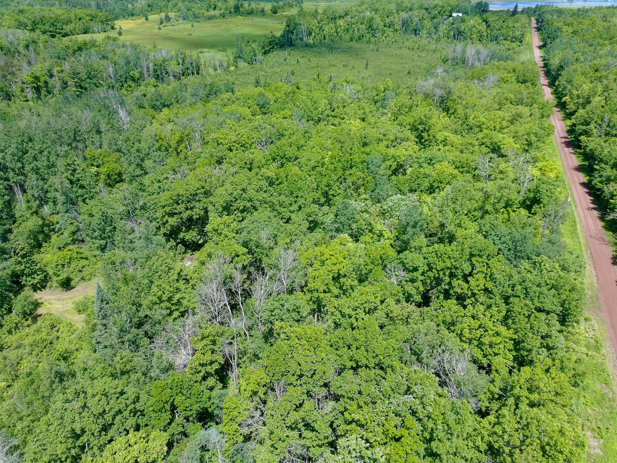 89225 Little Oak Lake Road Kerrick, MN 55756 - Photo 27 of 33