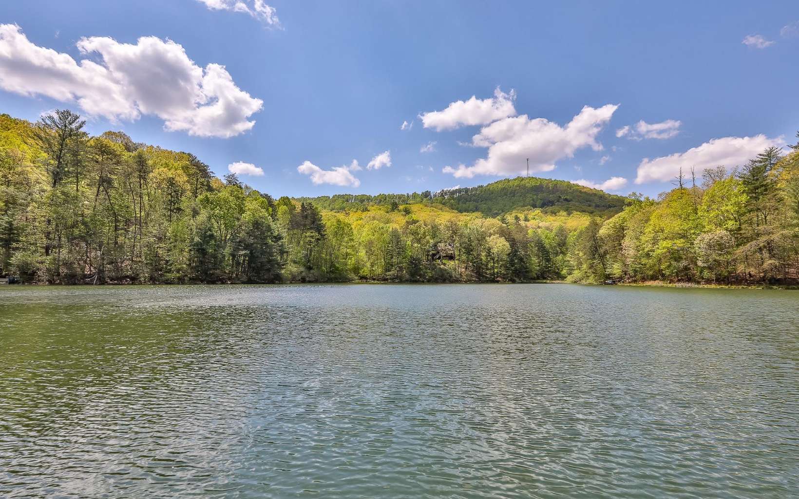 1811 Walnut Ridge Ellijay, GA 30536 - Photo 6 of 12 Additional View