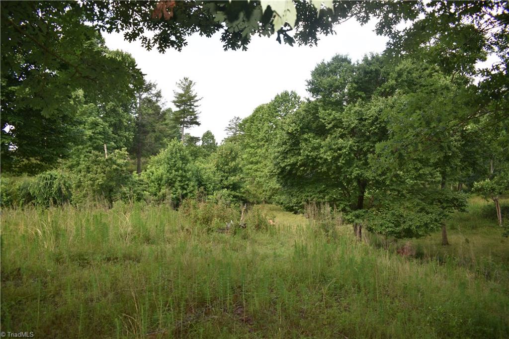 22.50 Union Hill Road Thurmond, NC 28683 - Photo 12 of 28 Gallery Image 12