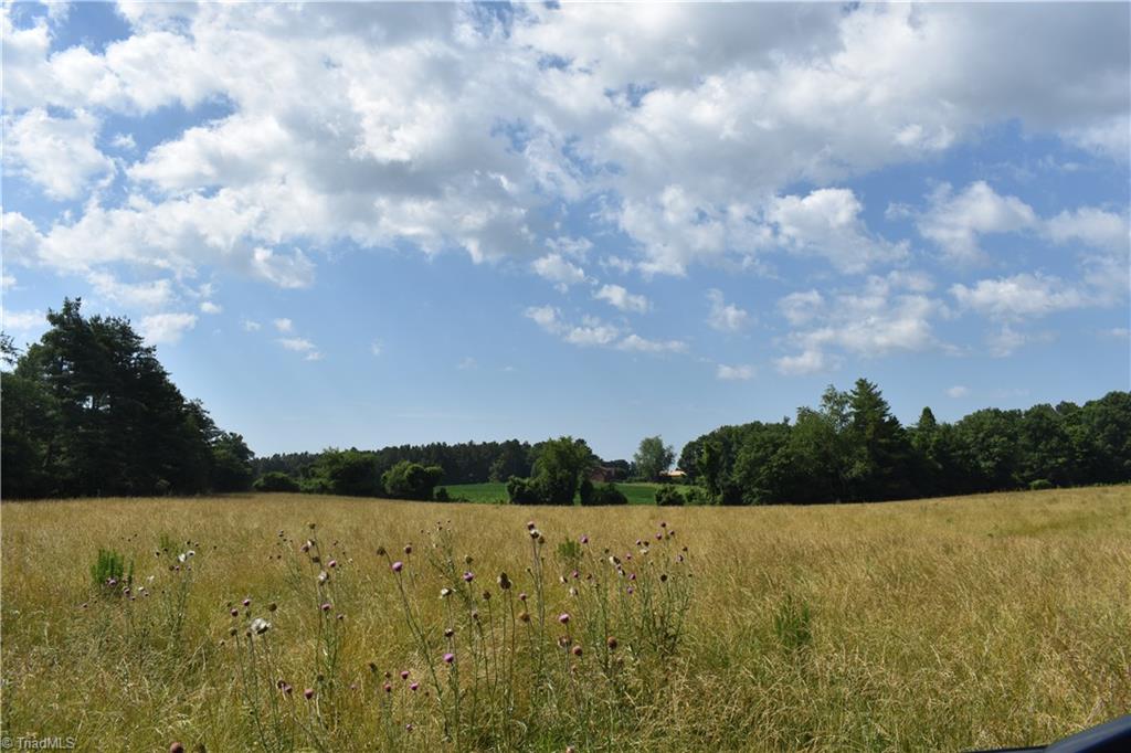 22.50 Union Hill Road Thurmond, NC 28683 - Photo 15 of 28 Gallery Image 15