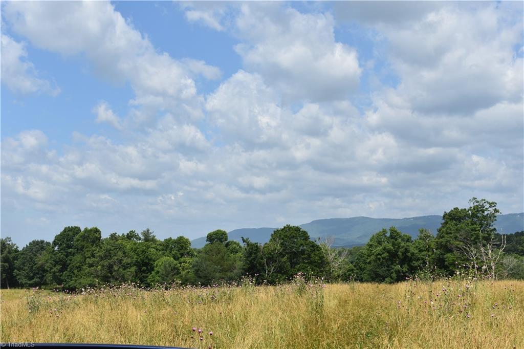 22.50 Union Hill Road Thurmond, NC 28683 - Photo 18 of 28 Gallery Image 18
