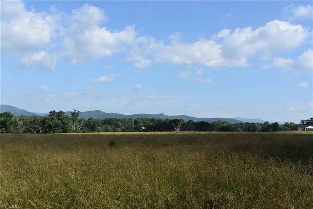 22.50 Union Hill Road Thurmond, NC 28683 - Photo 20 of 28 Gallery Image 20