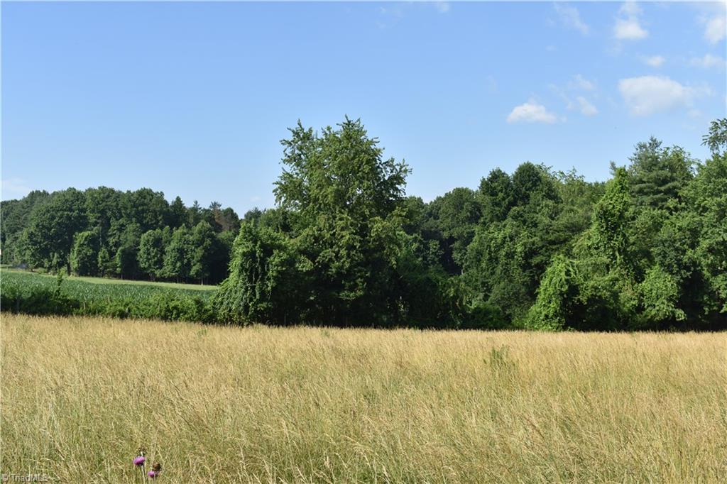 22.50 Union Hill Road Thurmond, NC 28683 - Photo 3 of 28 Gallery Image 3