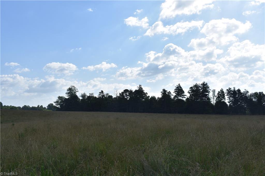 22.50 Union Hill Road Thurmond, NC 28683 - Photo 6 of 28 Gallery Image 6