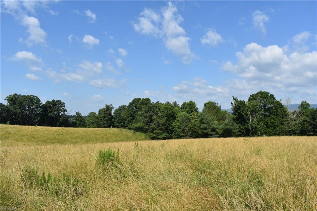 22.50 Union Hill Road Thurmond, NC 28683 - Photo 8 of 28 Gallery Image 8