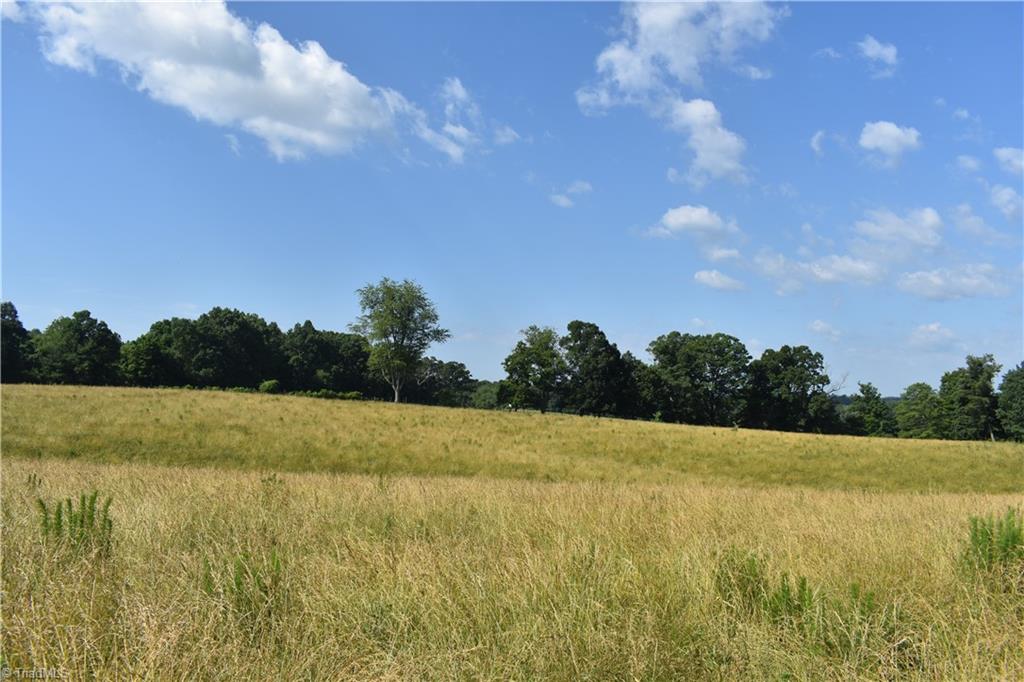 22.50 Union Hill Road Thurmond, NC 28683 - Photo 9 of 28 Gallery Image 9