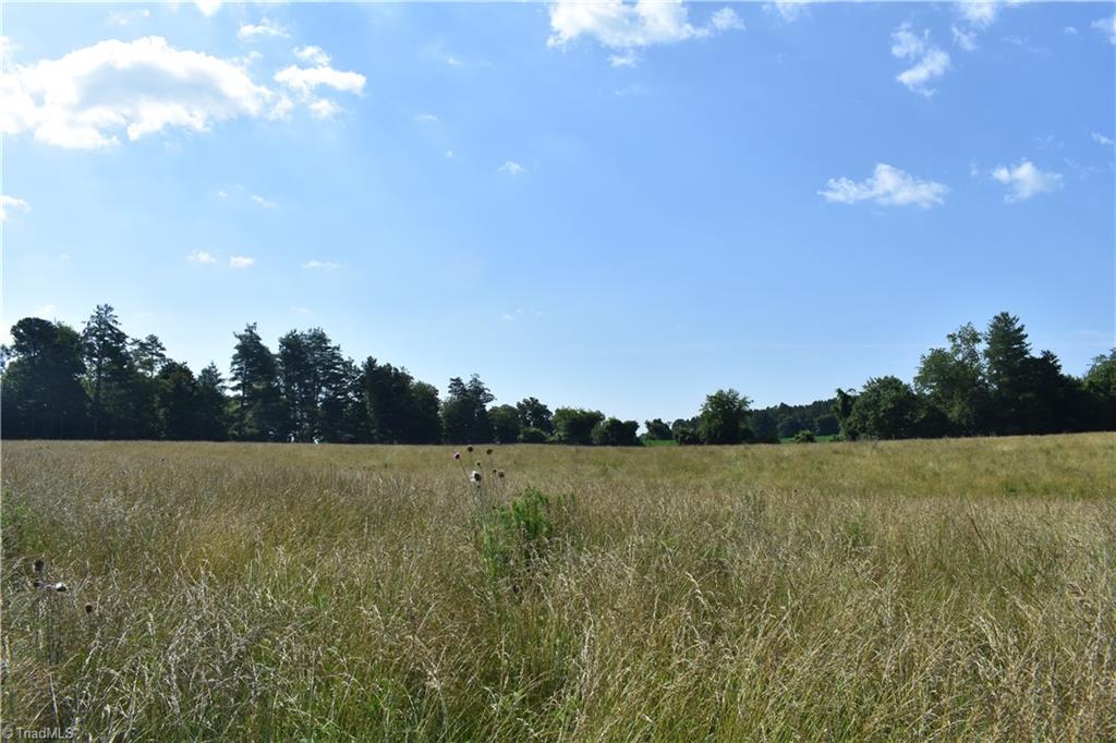 22.50 Union Hill Road Thurmond, NC 28683 - Photo 10 of 28 Gallery Image 10