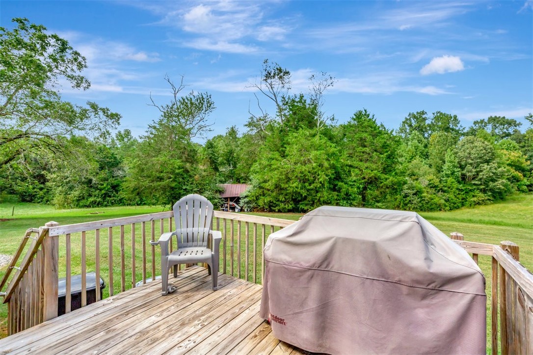 5821 Highway 187 Anderson, SC 29626 - Photo 29 of 47