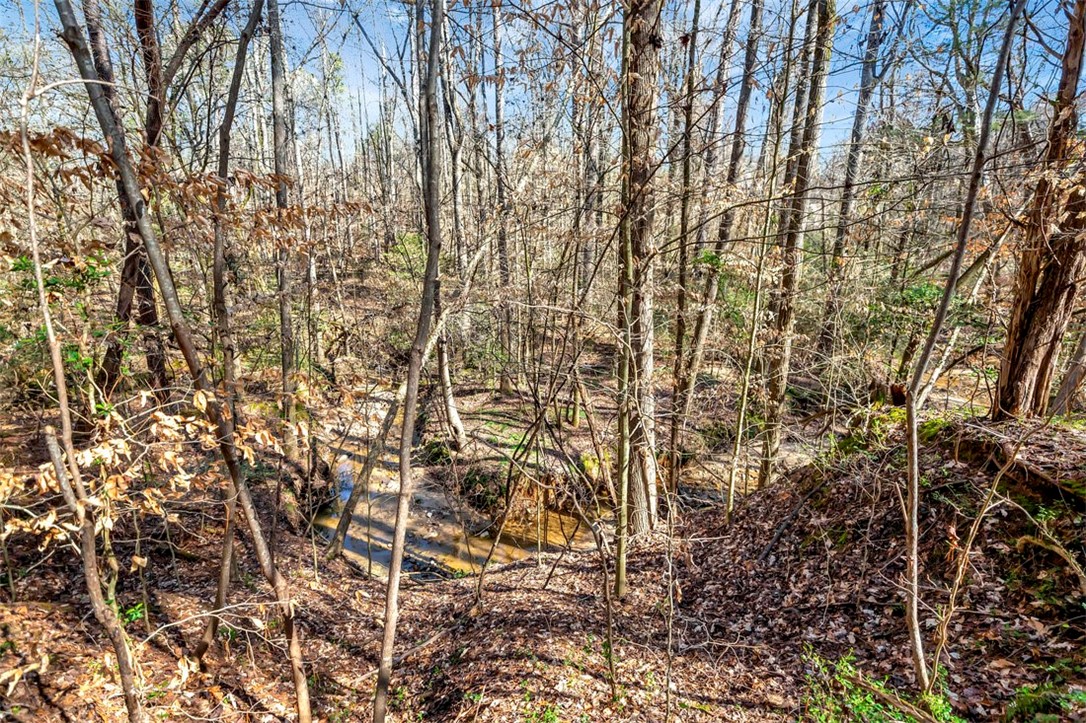 5821 Highway 187 Anderson, SC 29626 - Photo 35 of 47