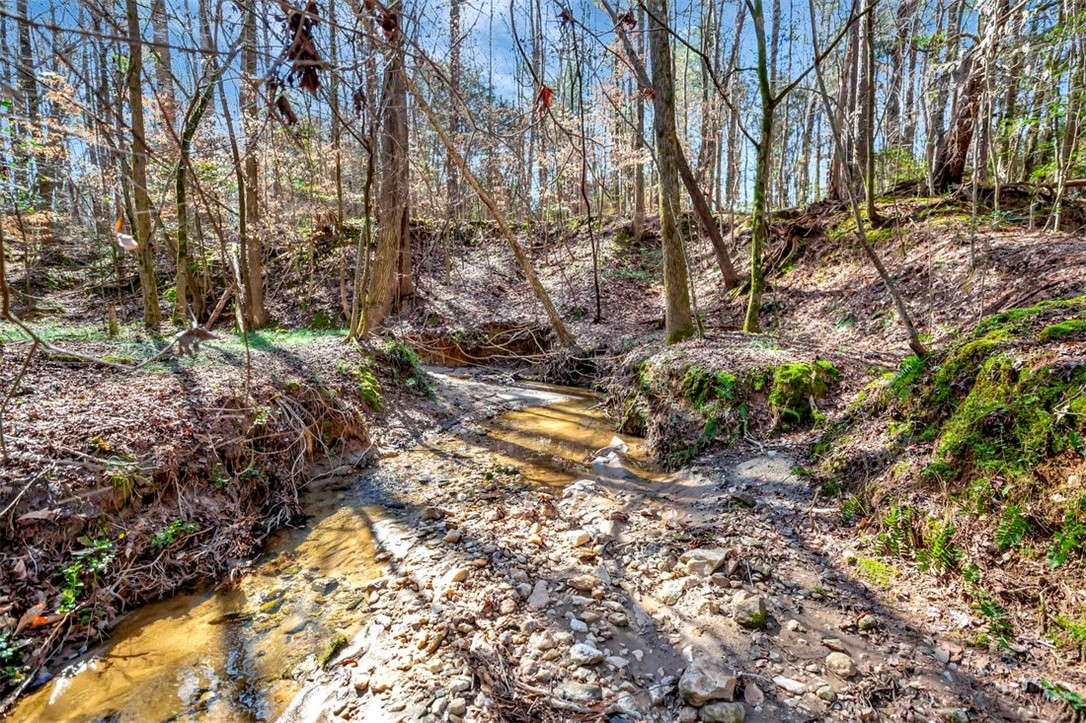 5821 Highway 187 Anderson, SC 29626 - Photo 40 of 47