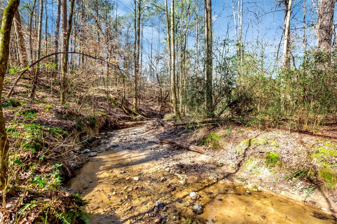 5821 Highway 187 Anderson, SC 29626 - Photo 42 of 47