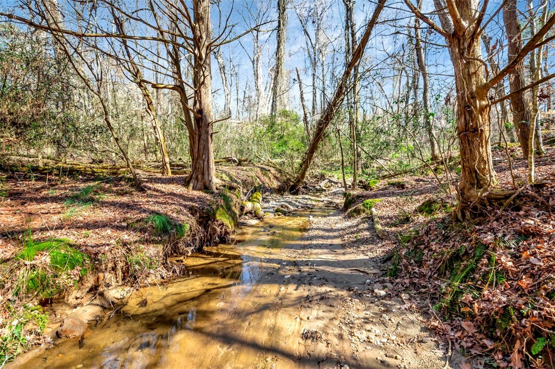 5821 Highway 187 Anderson, SC 29626 - Photo 43 of 47