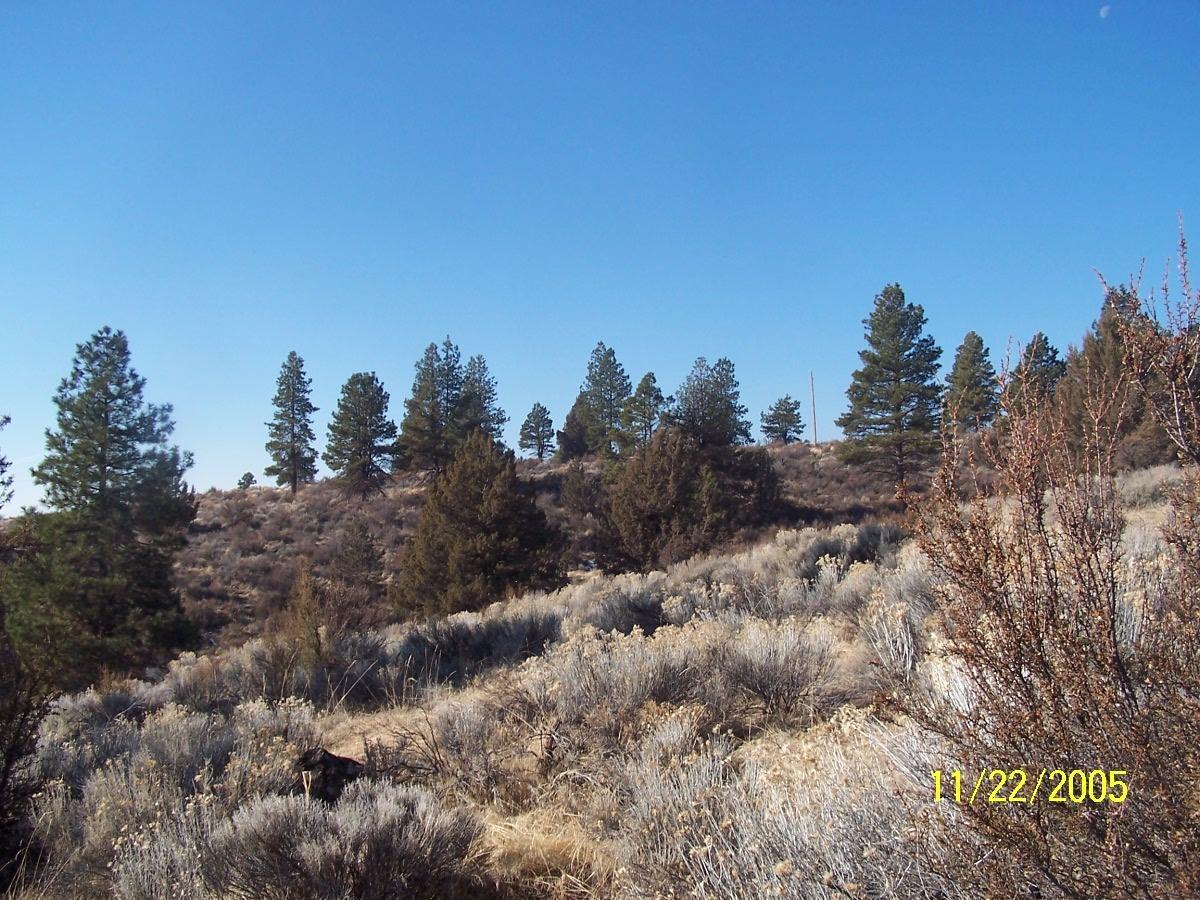 0 Valley View Drive Beatty, OR 97621 - Photo 5 of 11 Additional Photo