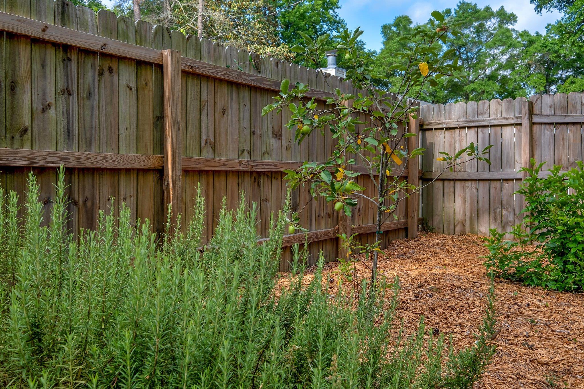 1818 Homewood Road Tallahassee, FL 32303 - Photo 3 of 42 Gallery Image 3