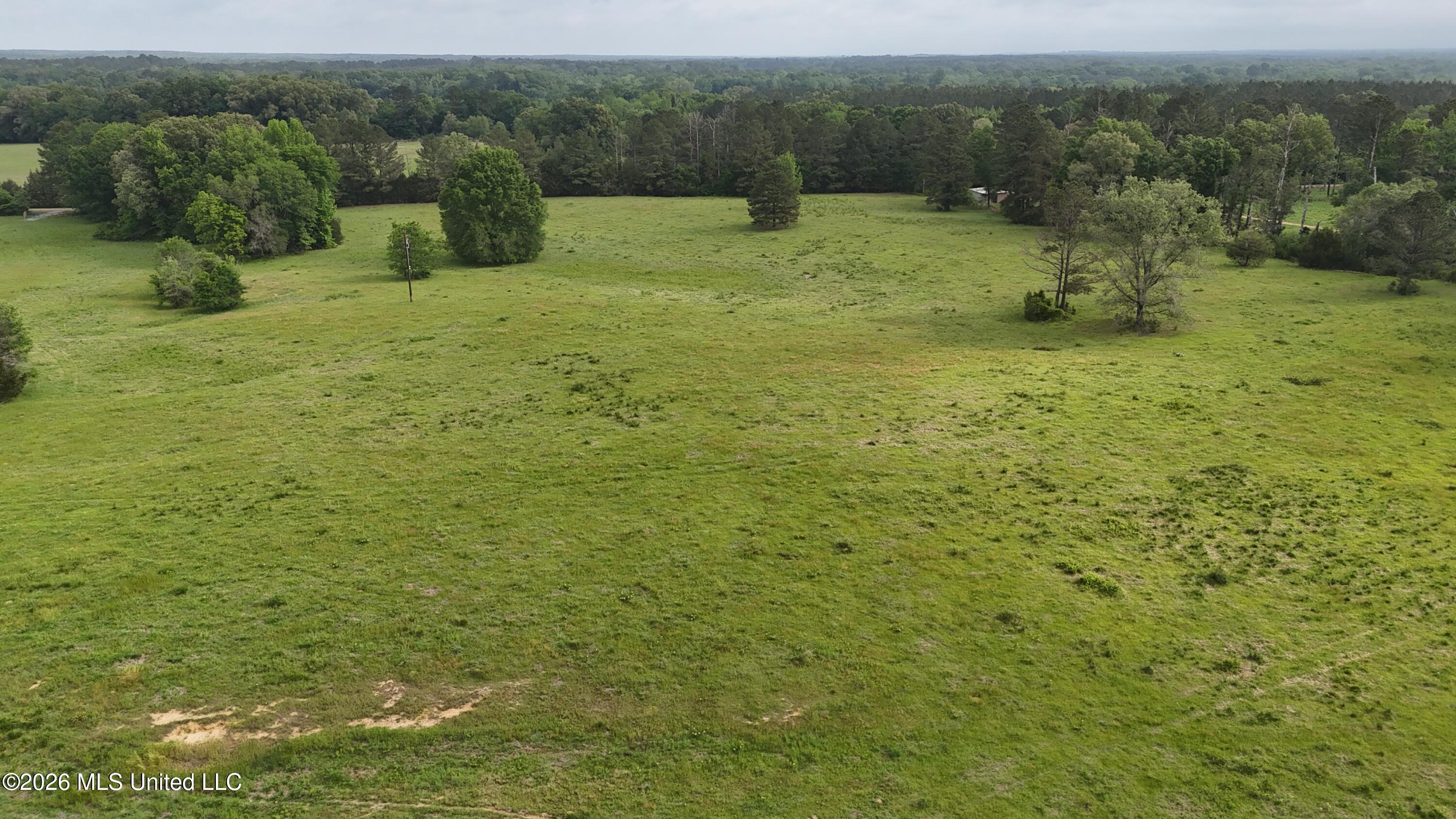 Sulphur Springs Road Canton, MS 39046 - Photo 7 of 16 jpg