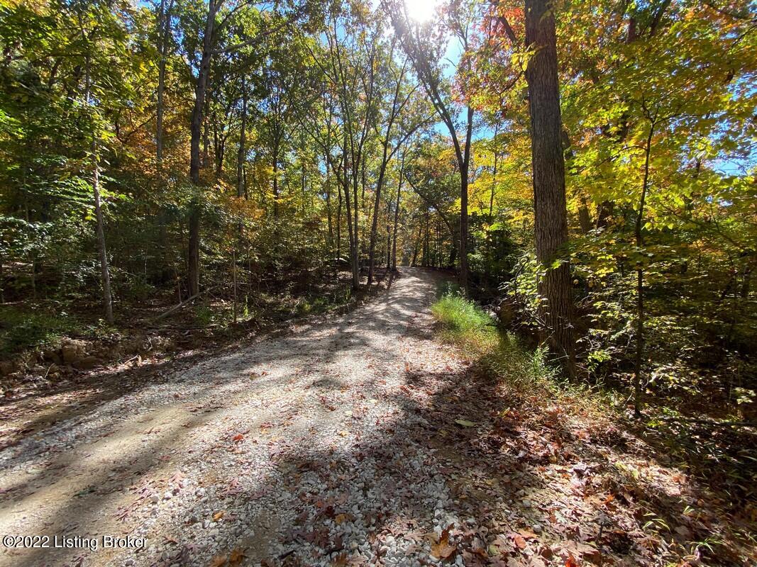 L9 Ted Logsdon Road Clarkson, KY 42726 - Photo 4 of 11 River View 101322284