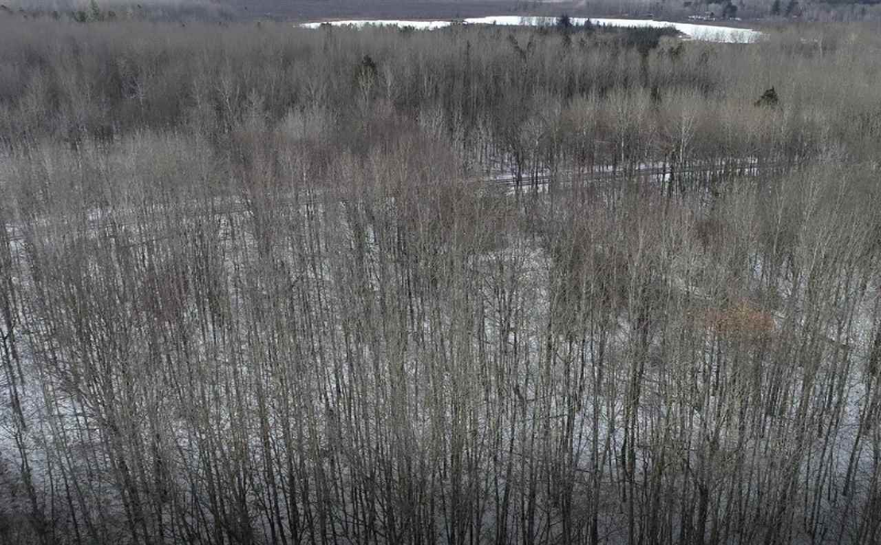 0 Madison Road Barryton, MI 49332 - Photo 9 of 11