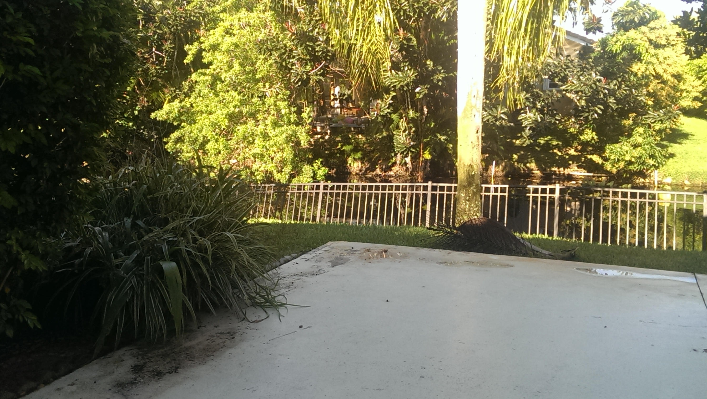 6945 Northwest 3rd Avenue Boca Raton, FL 33487 - Photo 6 of 12 luxurious backyard