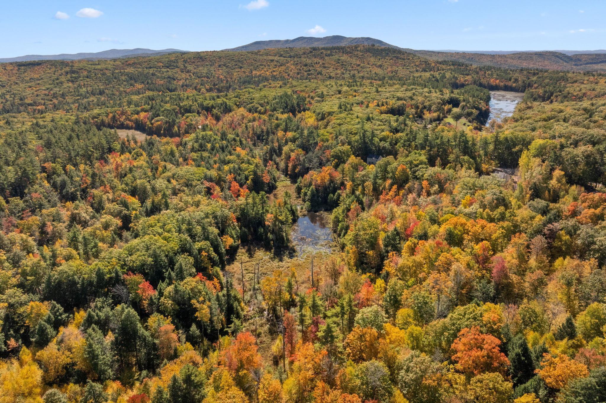 91 Wolf Hill Road Deering, NH 03244 - Photo 21 of 24
