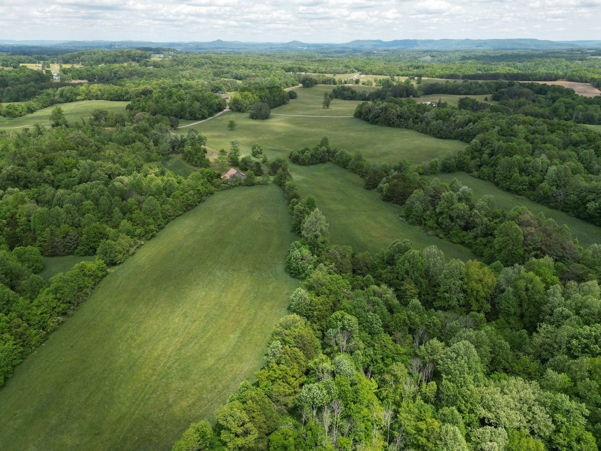 335 Nelson Cemetery Road Monroe, TN 38573 - Photo 11 of 81