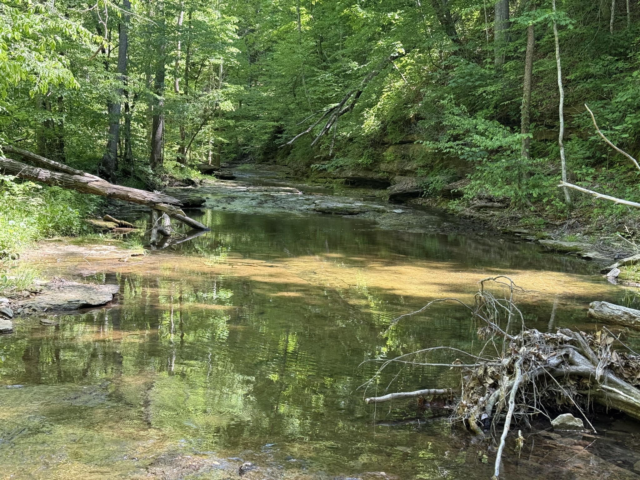 335 Nelson Cemetery Road Monroe, TN 38573 - Photo 14 of 81 a view of lake