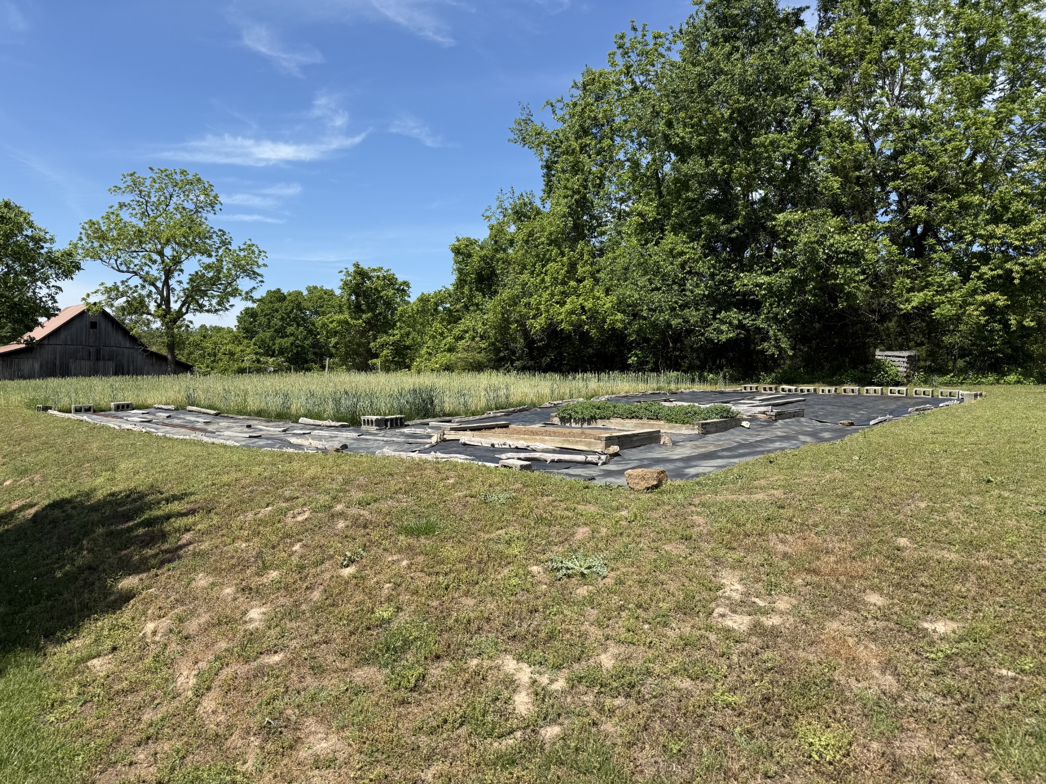 335 Nelson Cemetery Road Monroe, TN 38573 - Photo 25 of 81 a view of a swimming pool with a yard